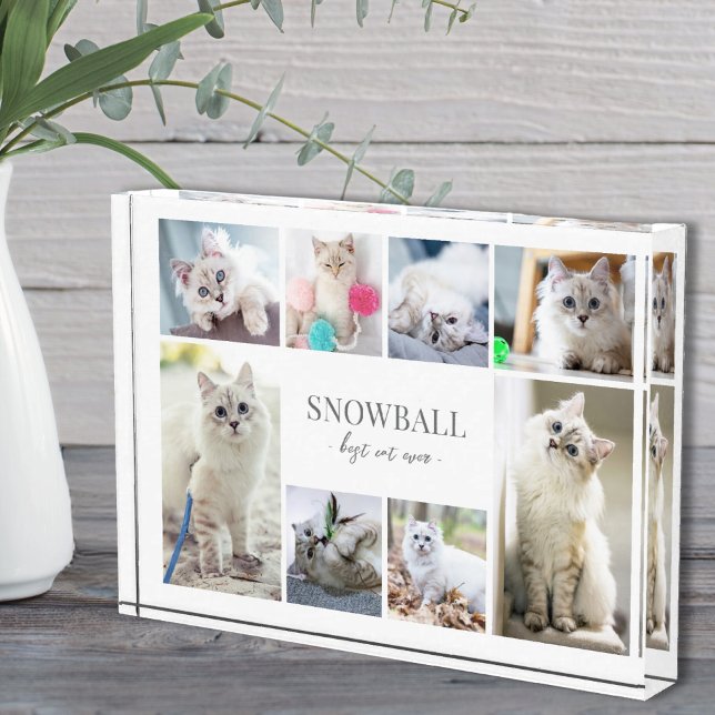 Bloc Photo Collage de photos d'animaux de compagnie simples (Simple Cat Pet Photo Collage)