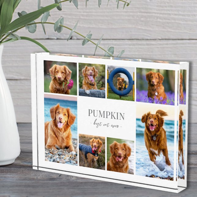 Bloc Photo Collage de photos de chien simple (Simple Dog Pet Photo Collage)