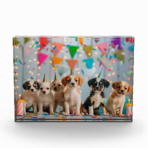 Bloc Photo Conception de célébration d'anniversaire de chiots
