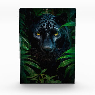 Bloc Photo Conception de faune de jungle de panthère noire my