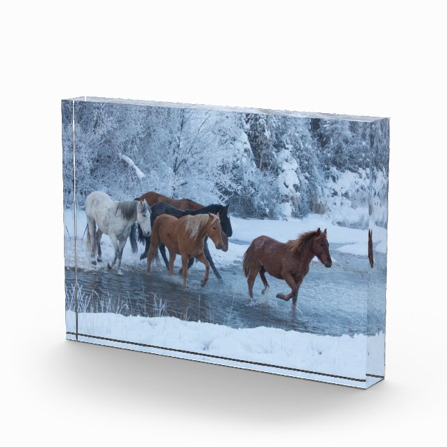 Bloc Photo Conduite de chevaux en hiver (Droite)