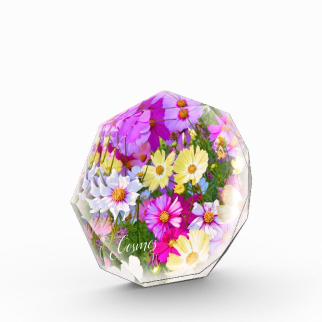 Bloc Photo Cosmos フォトブロック (Gauche)