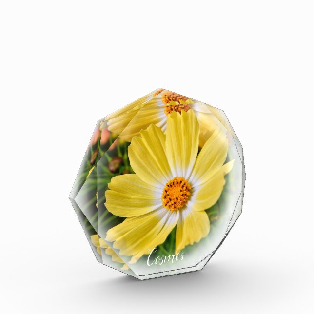 Bloc Photo Cosmos フォトブロック (Gauche)