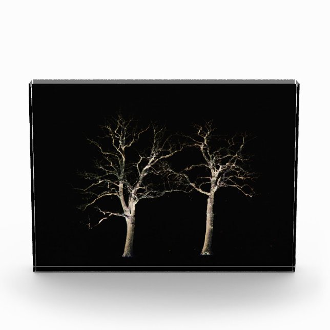 Bloc Photo Côté foncé 9 pbcna (Devant)