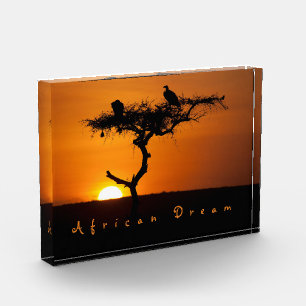 Bloc Photo Coucher de soleil de rêve africain photo romantiqu