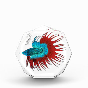 Bloc Photo Crowntail betta fish dessin animé