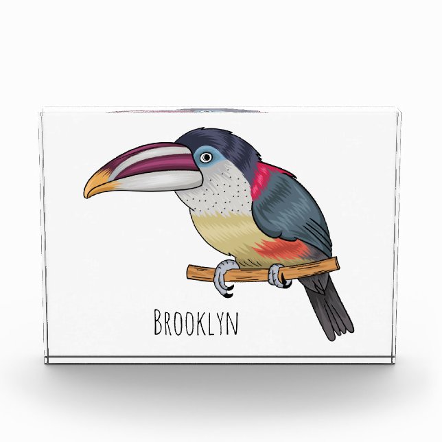 Bloc Photo Curl crested aracari bird cartoon (Devant)