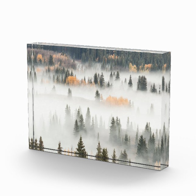 Bloc Photo Dawn Ground Fog Covers Mountain Forest (Droite)