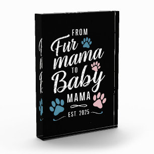Bloc Photo De Fur Mama à Baby Mama Estimé 2025 Chien Chat Mam