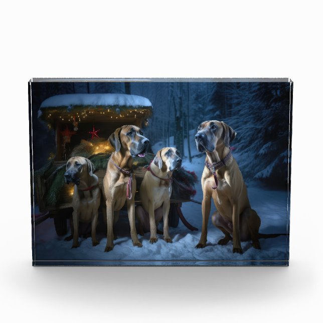 Bloc Photo Décor de Noël au traîneau enneigé Rhodesian Ridgeb (Devant)
