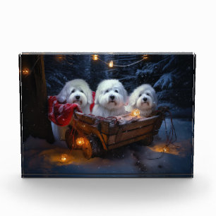 Bloc Photo Décor de Noël Coton De Tulear Snowy Sleigh