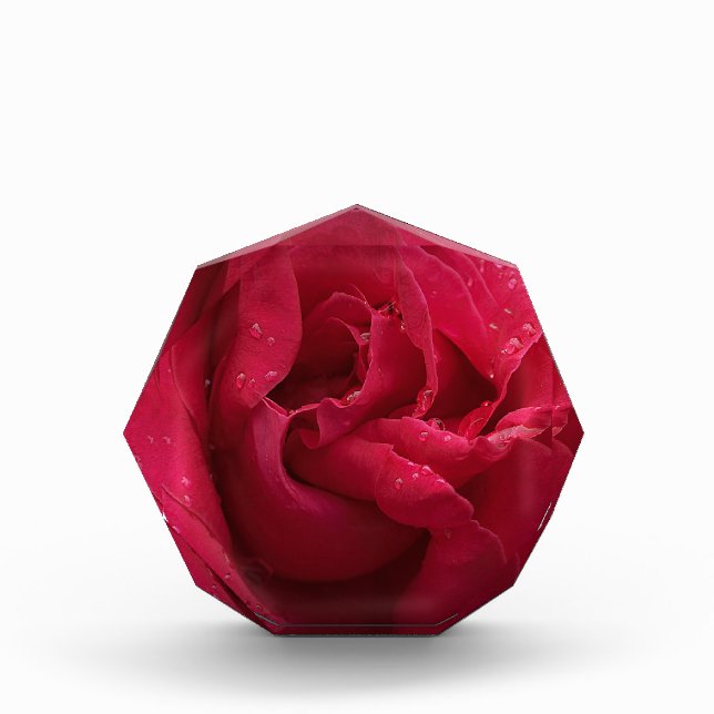 Bloc Photo Diamants Rouges (Devant)