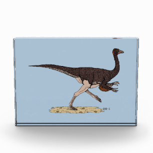 Bloc Photo Dinosaure ornithomimus crétacé