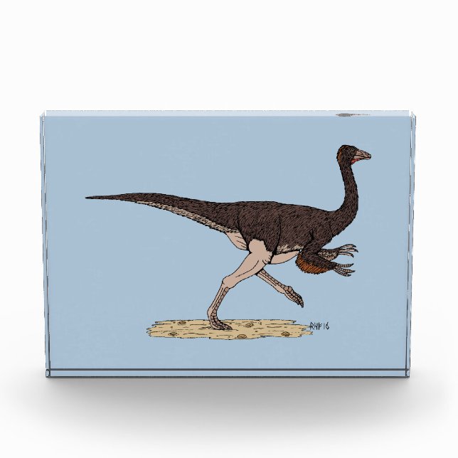 Bloc Photo Dinosaure ornithomimus crétacé (Devant)