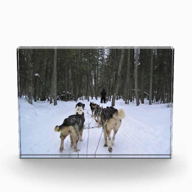 Bloc Photo Dog Sledding à Québec, Canada (Devant)
