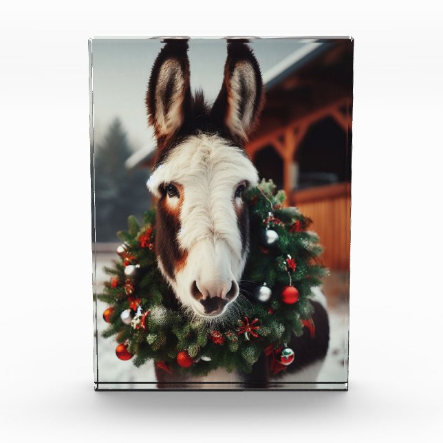 Bloc Photo Donkey Pinto de Noël (Devant)