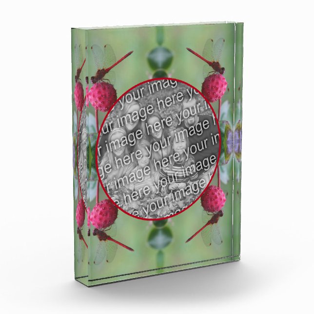 Bloc Photo Dragonfly On Dogwood Fruruits Créez votre propre (Gauche)