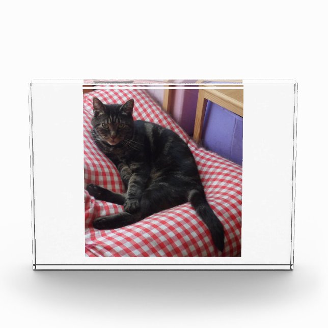 Bloc photo en acrylique mignon Dave (Devant)