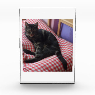 Bloc photo en acrylique mignon Dave