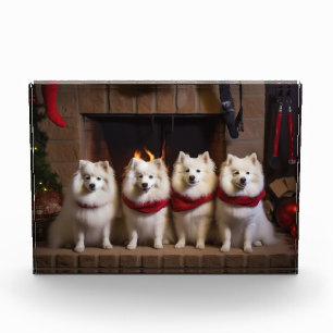Bloc Photo Esquimau américain près de la cheminée Noël