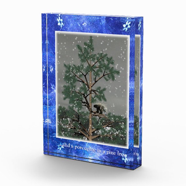 Bloc Photo Et Une Porcupine Dans Un Pin Tree (Droite)