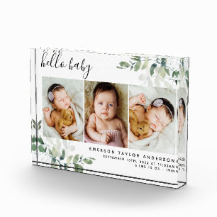 Bloc Photo Eucalyptus 3 Photo Bébé Statistiques de naissance