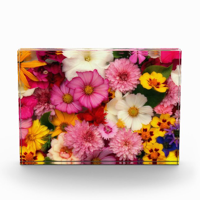 Bloc Photo Fleur (Devant)