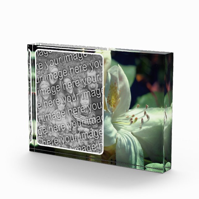 Bloc Photo Fleur Azalea Blanc Créez votre propre (Droite)