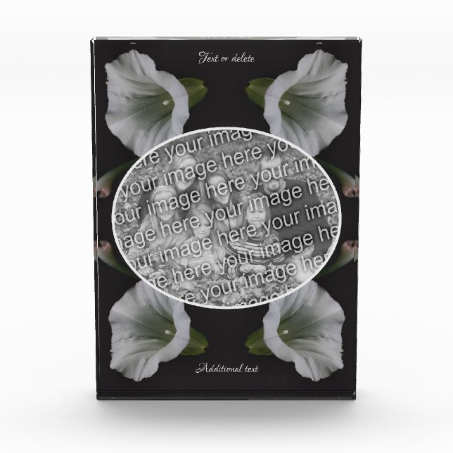 Bloc Photo Fleur de gloire du matin blanc Créez votre propre (Devant)