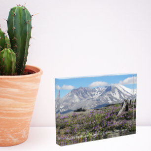 Bloc photo Fleur sauvage du Mont St Helens