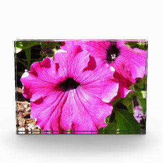 Bloc Photo Fleurs au-dessus de 2,0