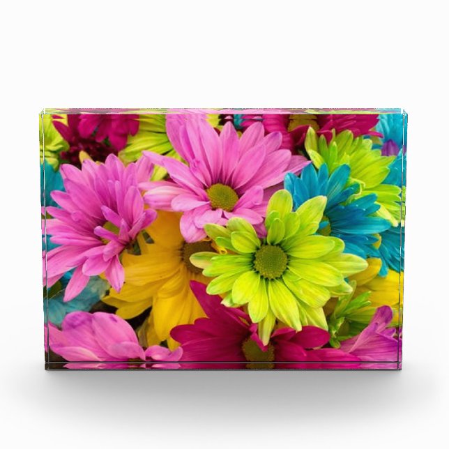 BLOC PHOTO FLEURS CLAIRES ET COLORÉES (Devant)