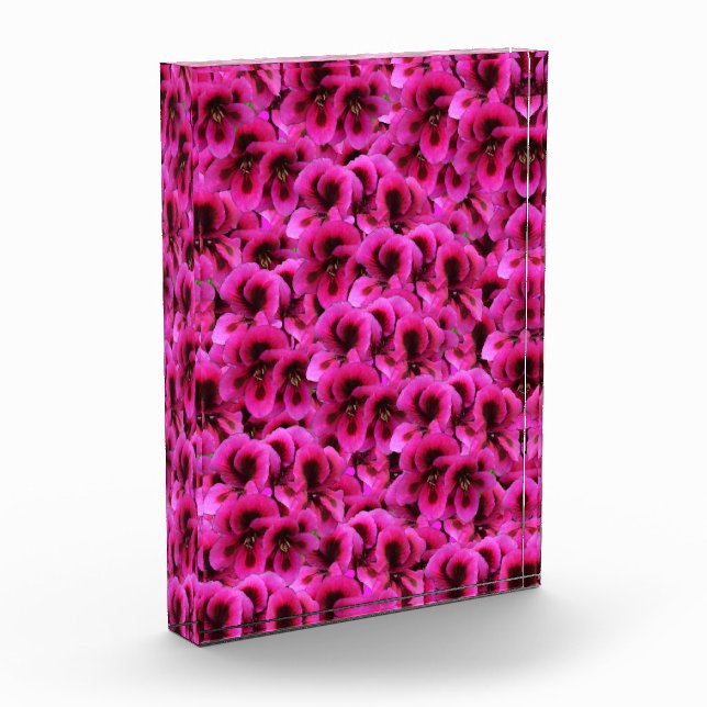 Bloc Photo Fleurs De Géranium Magenta Chaud, (Gauche)
