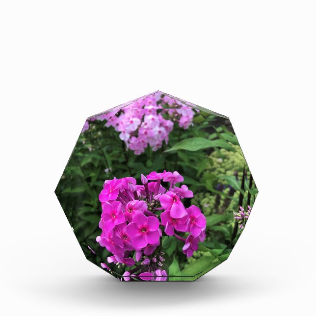 Bloc Photo Flowers at Château Morrisette Winery, Floyd, VA (Devant)