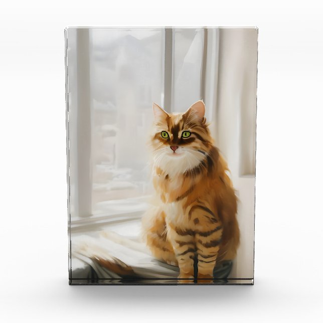 Bloc Photo Fluffy Ginger Cat dans la fenêtre (Devant)