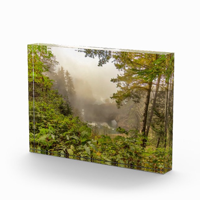 Bloc Photo Forest and Ocean Landscape (Droite)