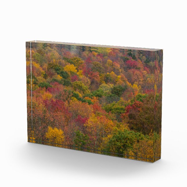 Bloc Photo Forêt de feuillus dans le comté de Randolph, Virgi (Droite)