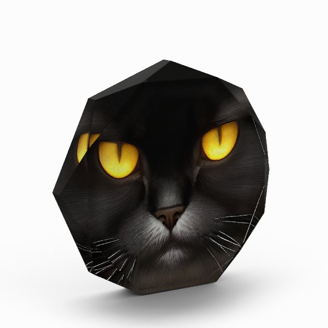 Bloc Photo Funny Fluffeux noir Perse noir chaton visage (Gauche)