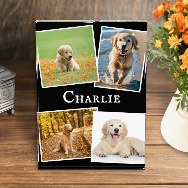 Bloc Photo Garde-mémoire Collage de Collier de Chien Moderne (A display block featuring four favorite photos of your dog, personalized with your pet's name)
