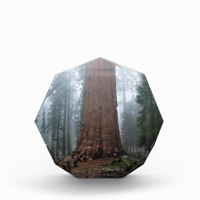 Bloc Photo Général Sherman Tree, Sequoia, CA (Devant)
