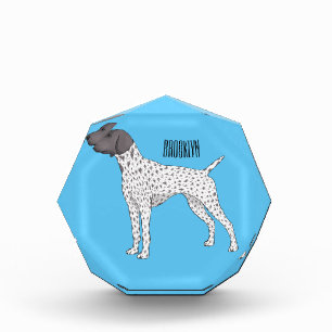 Bloc Photo German Shorthred Pointer dog
