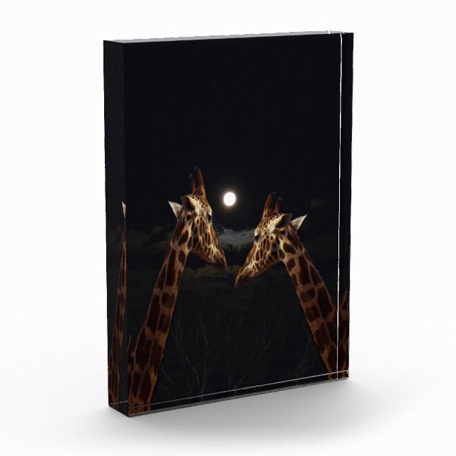 Bloc Photo Giraffe Love In the Moonlight (Gauche)