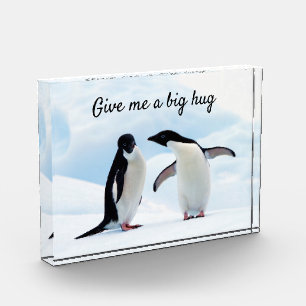 Bloc Photo Gros câlin Penguin sur la glace photo avec texte