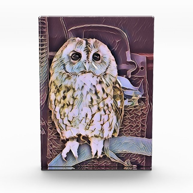 BLOC PHOTO HIBOU (Devant)