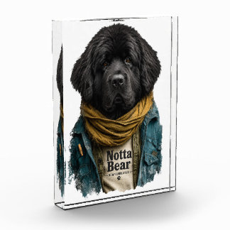 Bloc Photo Hipster Urbain Newf – Style Notta Bear