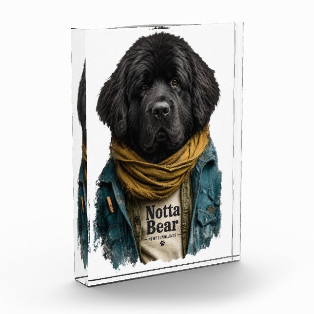 Bloc Photo Hipster Urbain Newf – Style Notta Bear (Gauche)