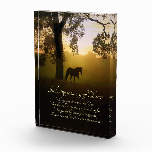 Bloc Photo Horse Memorial Hommage spirituel magnifique (Droite)