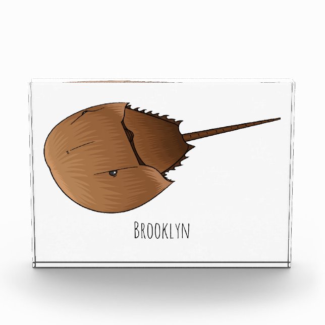Bloc Photo Horseshoe crab (Devant)