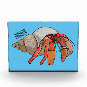 Bloc Photo Illustration de crabe ermite