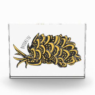 Bloc Photo Illustration de la feuille de limace de mer grillé
